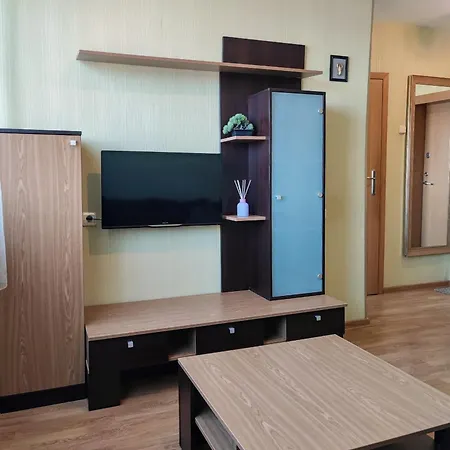 1 Kambario Butas-studija Centre Apartment