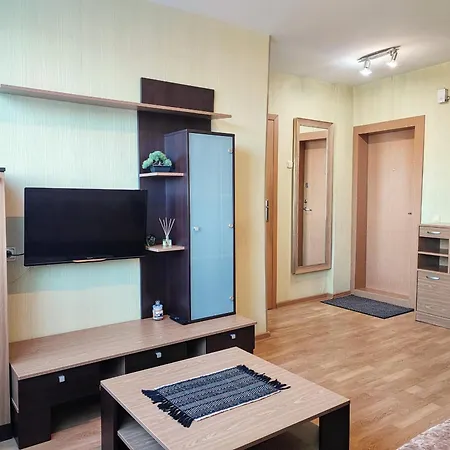 1 Kambario Butas-studija Centre Apartment Klaipeda