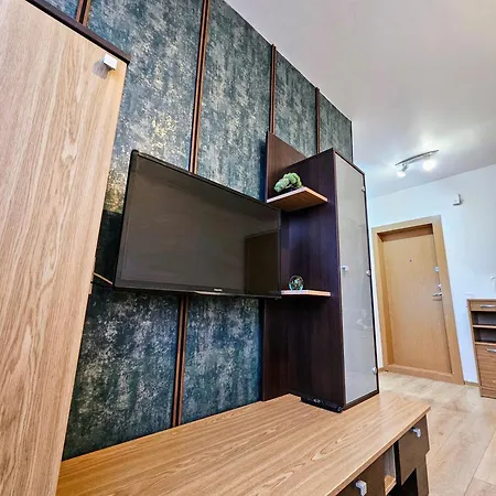 1 Kambario Butas-studija Centre Apartment *